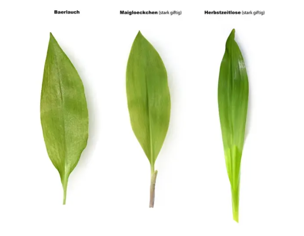 Screenshot 2025-03-23 at 9.26.31.png