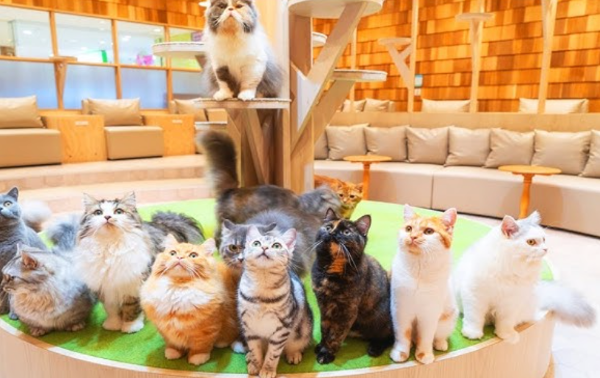 スクリーンショット 2024-10-30 17.52.42.png