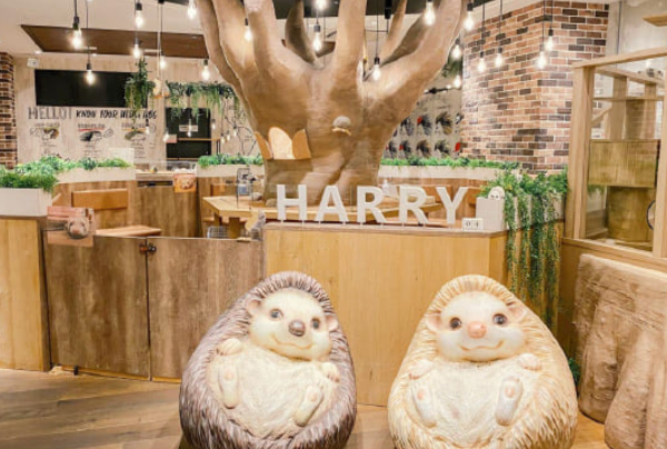 スクリーンショット 2024-10-30 18.04.00.png