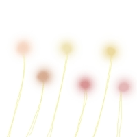 videoframe_0 (1).png