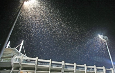 스크린샷 2025-03-03 오후 7.32.55.png