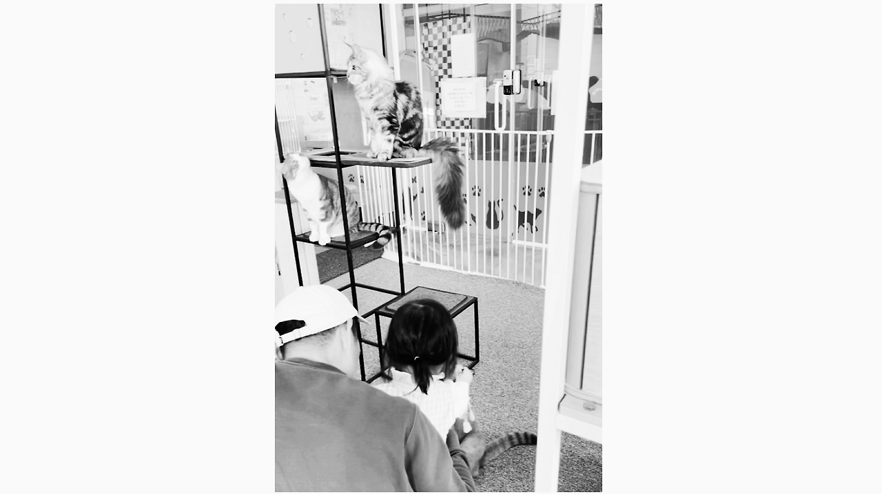 스크린샷 2023-10-24 오전 6.51.22.png