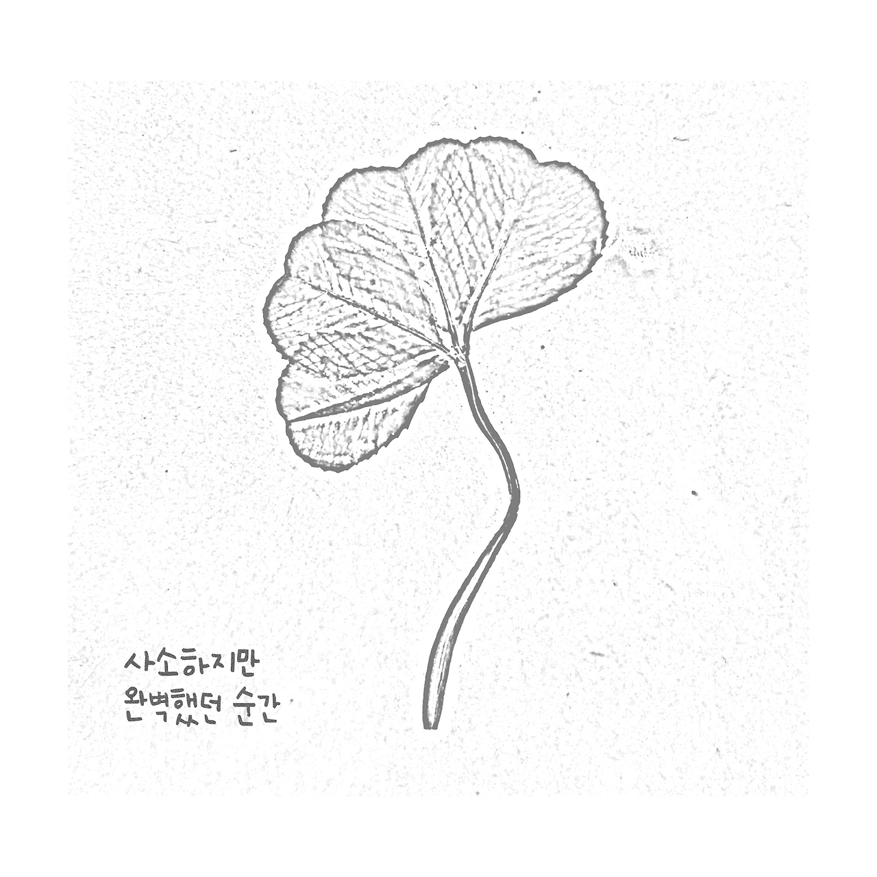 사소하지만 완벽했던 순간 편집본.png