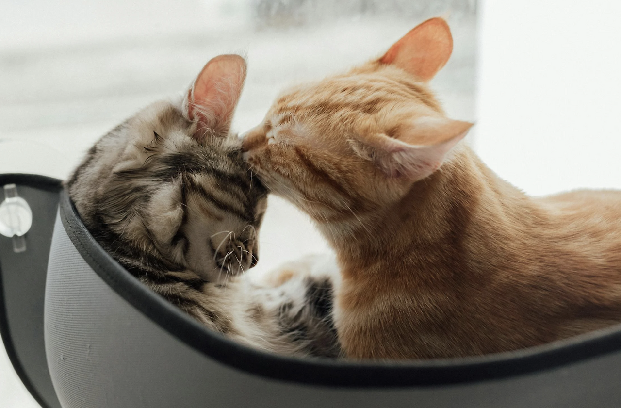 스크린샷 2025-11-02 오후 9.55.13.png