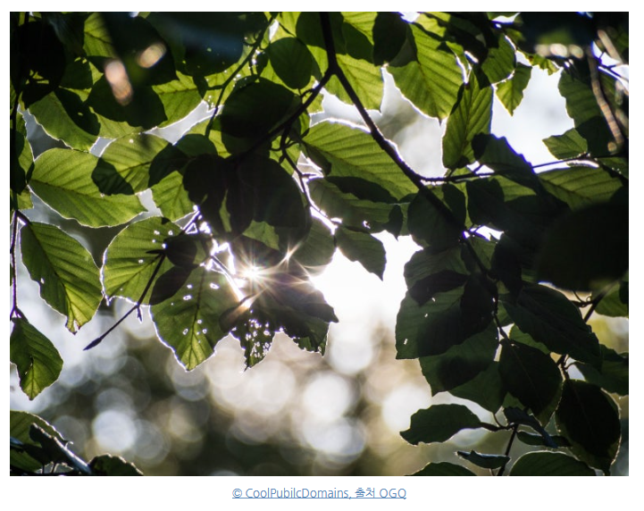 화면 캡처 2025-10-26 214117.png