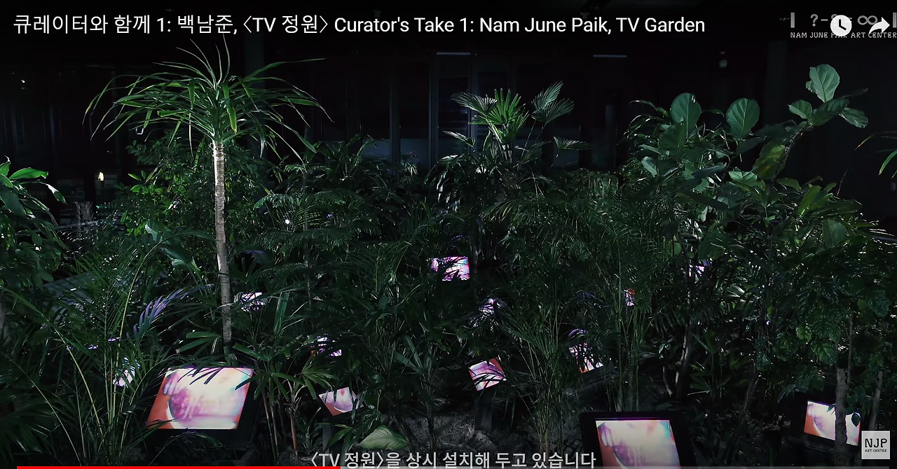 백남준 TV정원.png