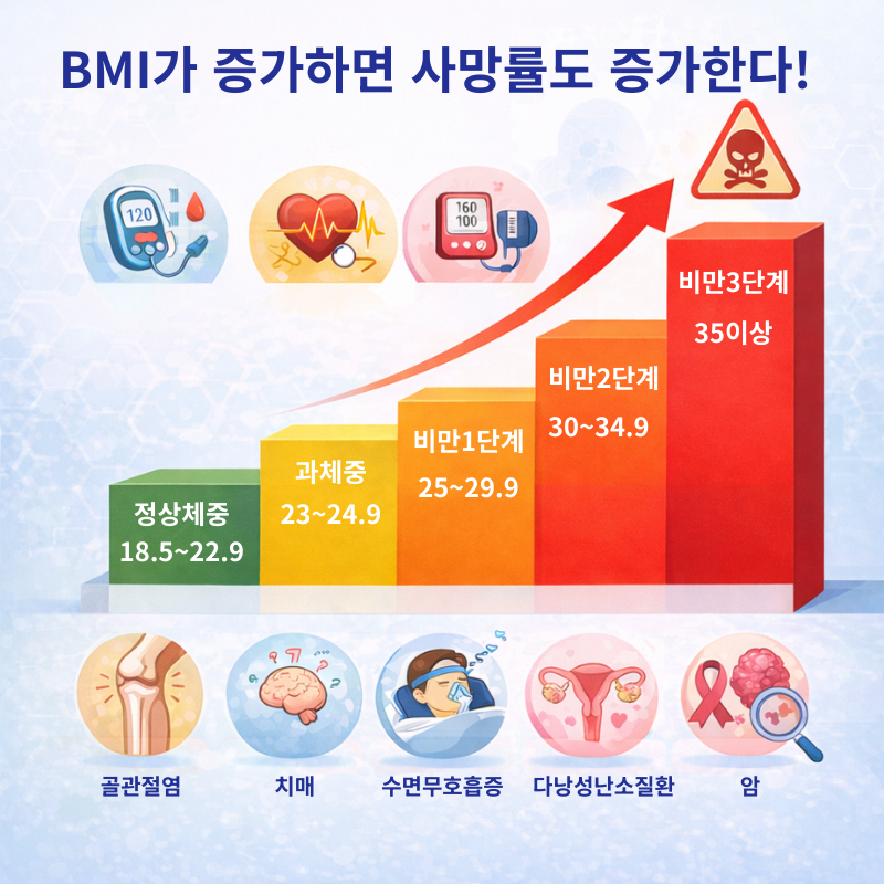 0. 비만 만성별 그래프.png