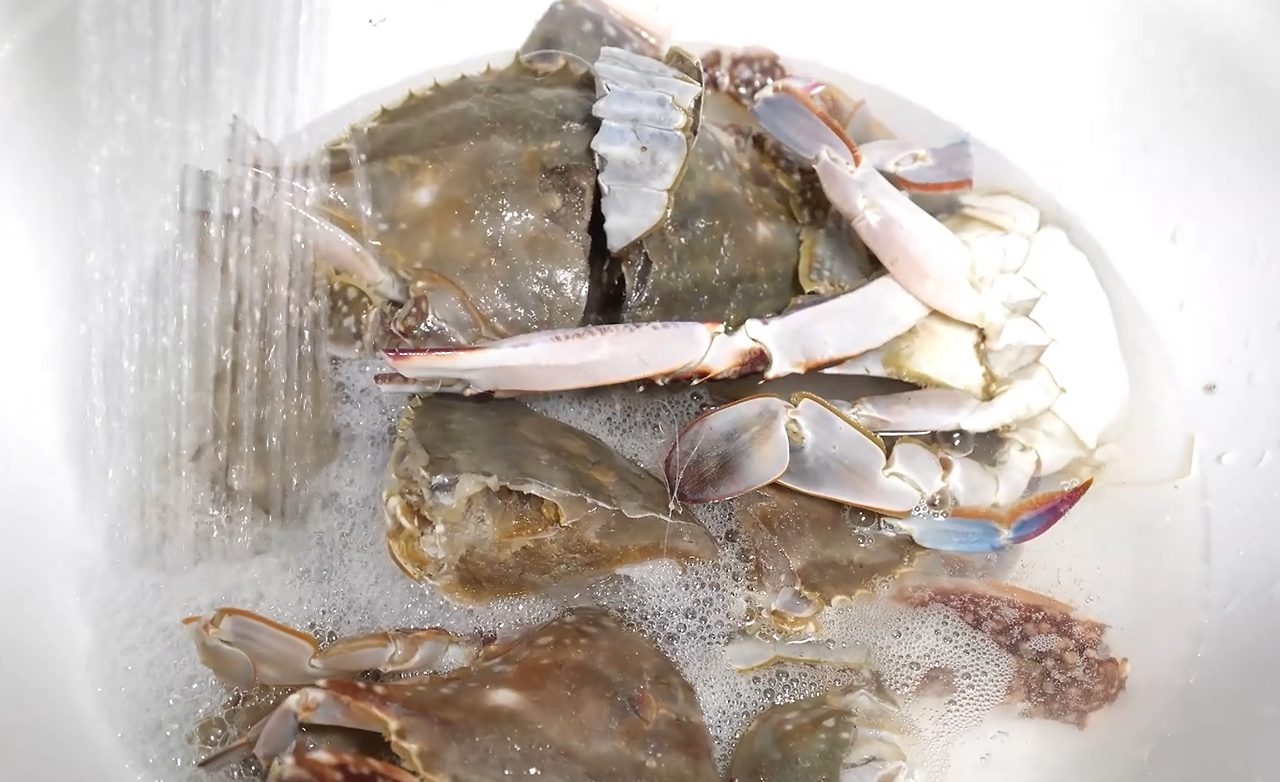 스크린샷 2024-08-18 095241.png