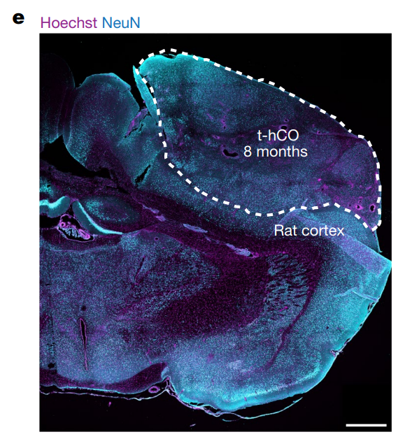 화면 캡처 2025-07-08 231946.png