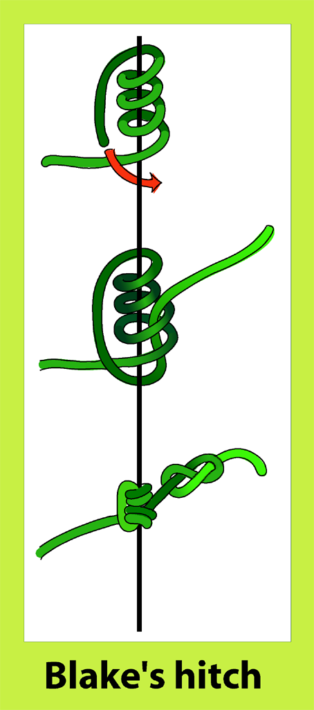 Blakes_hitch_knot_retouched.png