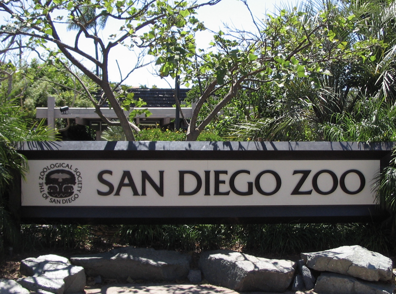 Screenshot 2025-03-18 at 10.37.22 PM.png