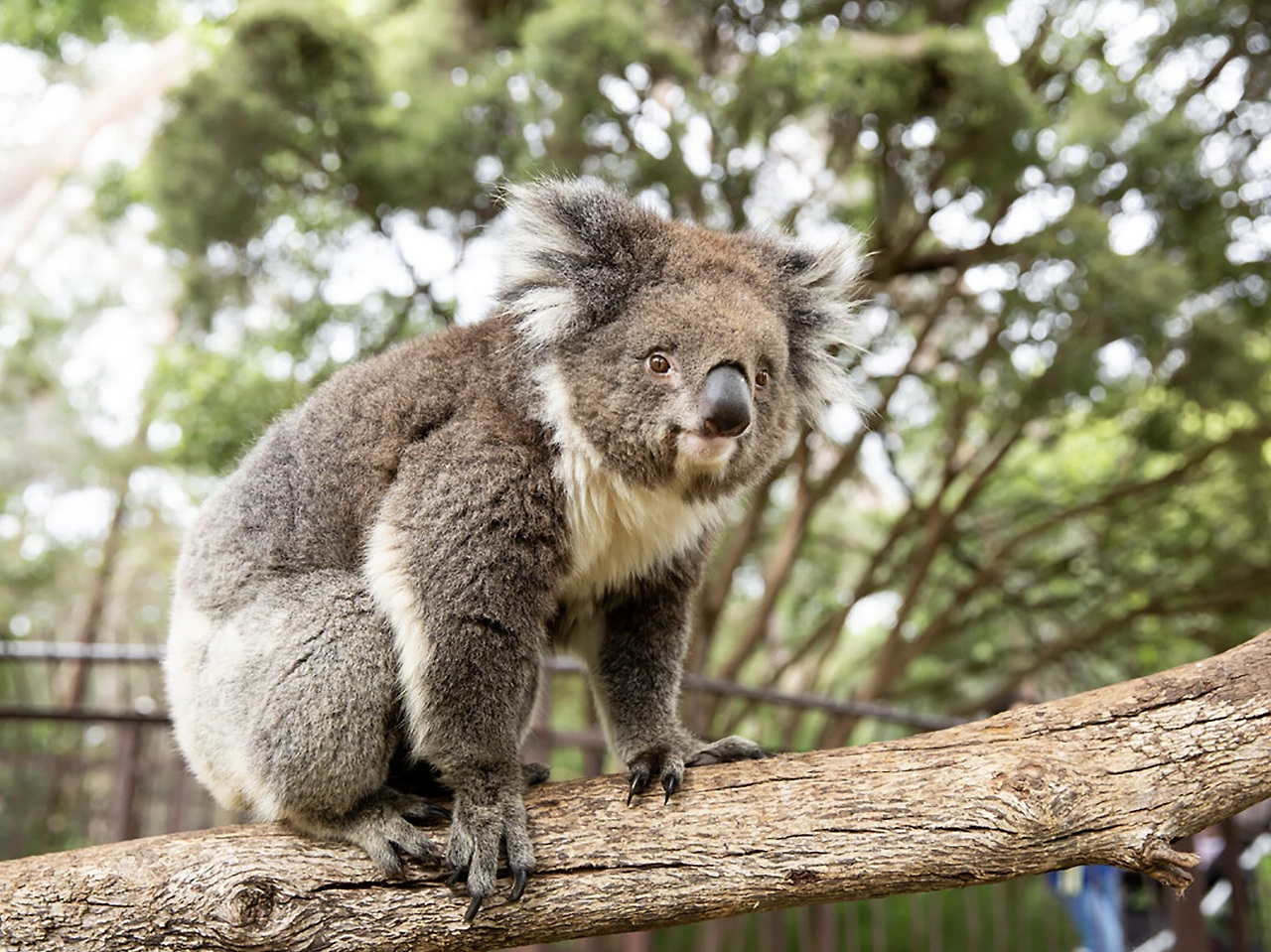 Screenshot 2025-03-27 at 4.32.16 PM.png