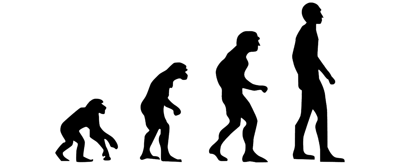 evolution-2780651_1280.png