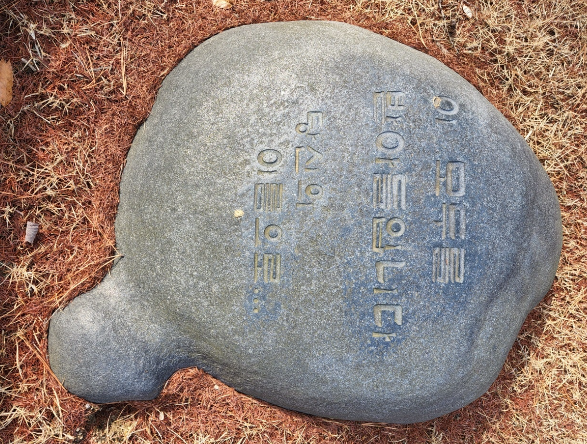 화면 캡처 2025-02-12 225533.png