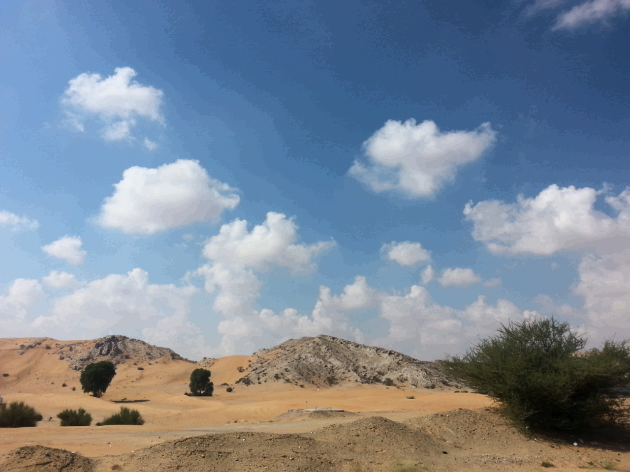 2015-11-29 13.50.24.png