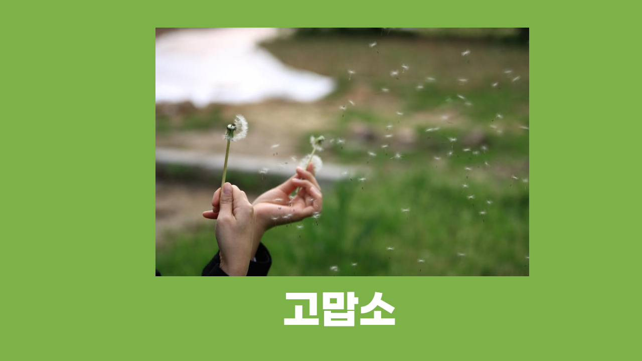 다시 꽃 피우리라-001 (1).png