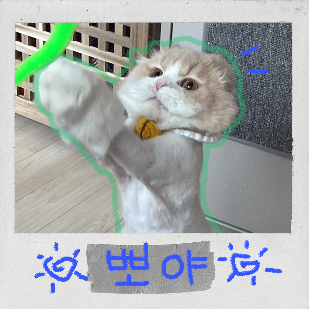 5뽀야 (1).png