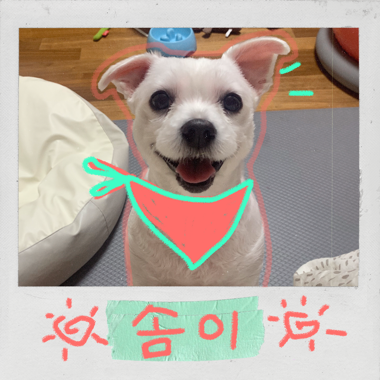 1솜이 (1).png