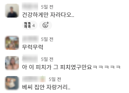 피치파티 댓글.png