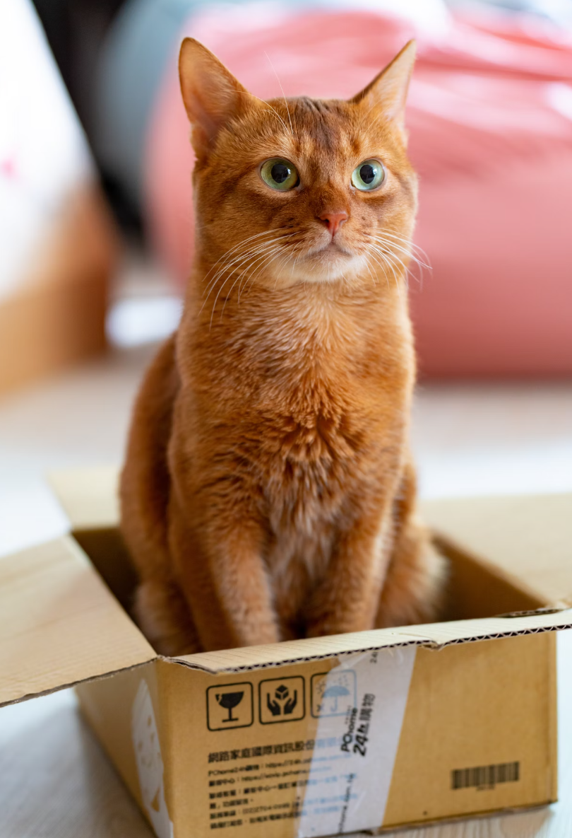 스크린샷 2025-10-29 221717.png