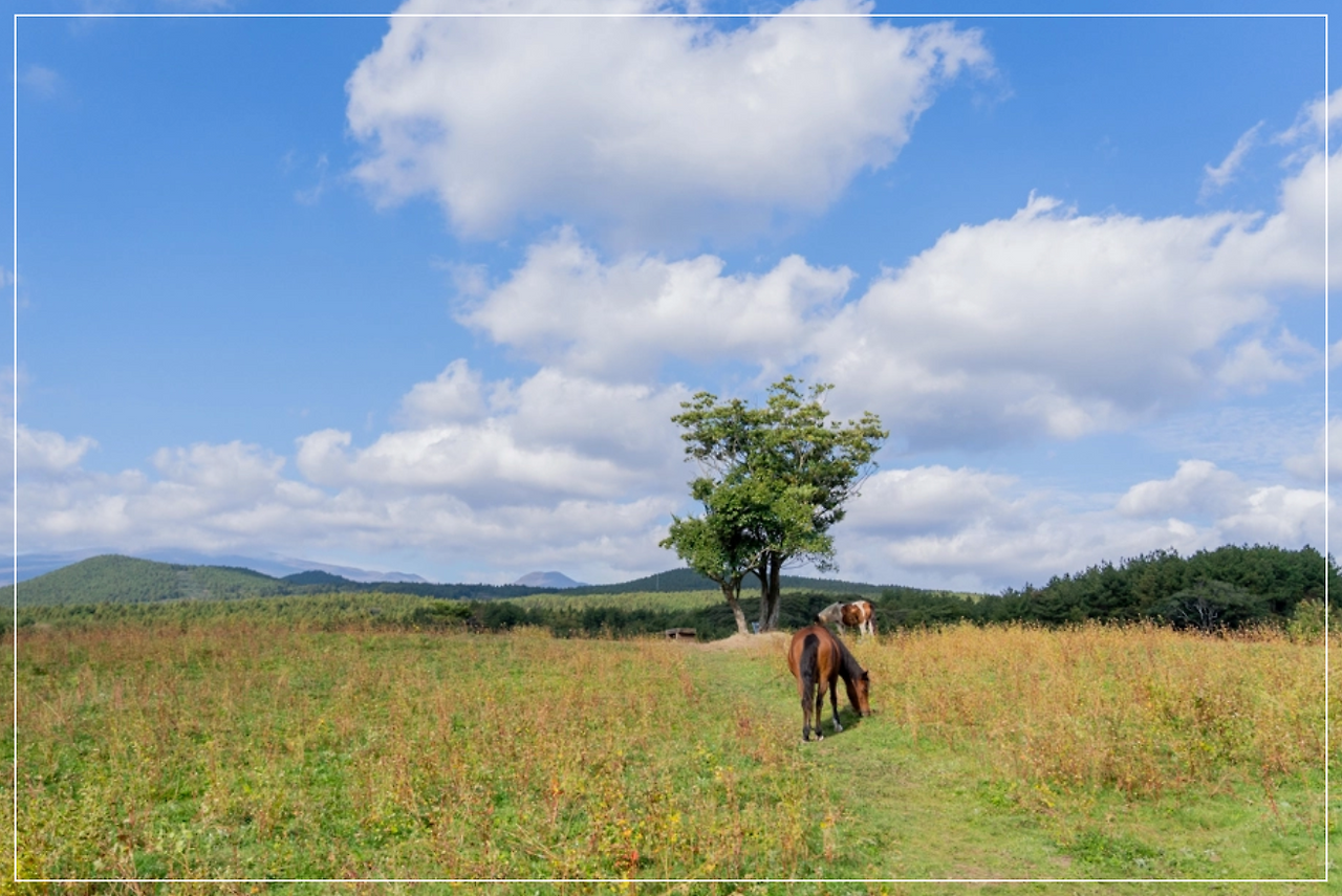 스크린샷 2025-12-06 184409.png