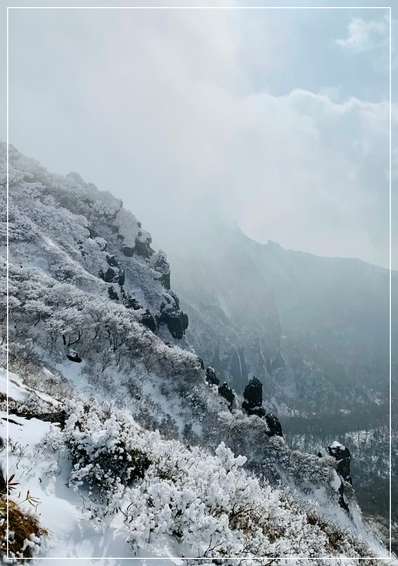 스크린샷 2025-12-04 231324.png