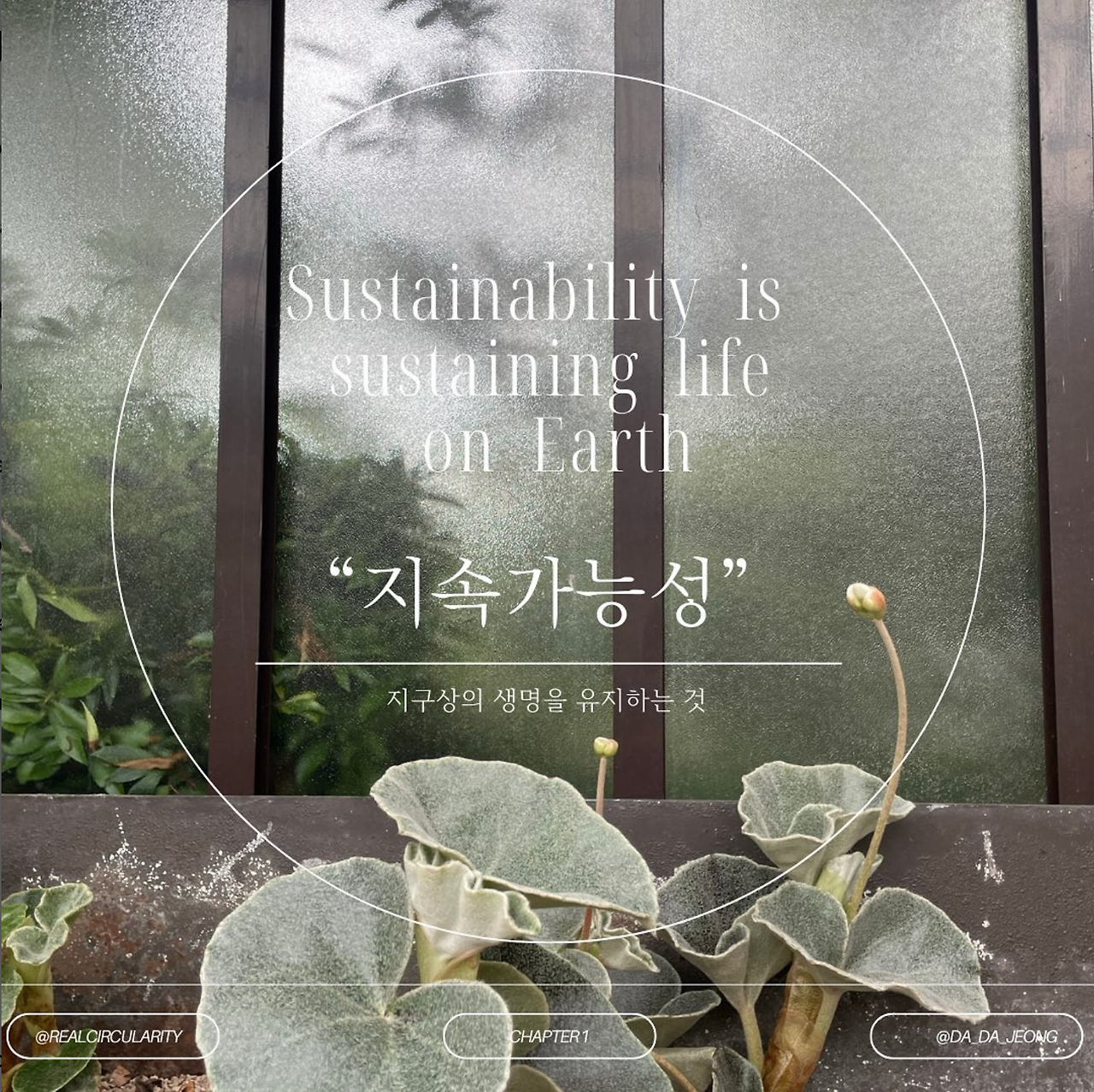 Screenshot 2023-07-28 at 1.37.06 AM.png