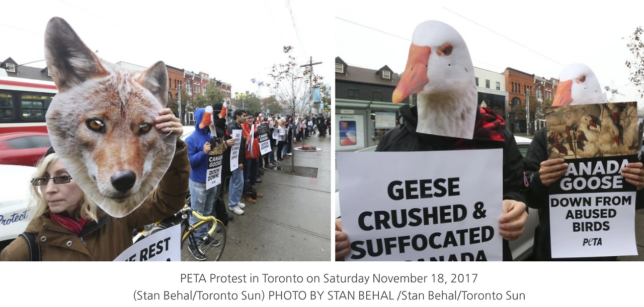 Screenshot 2023-04-07 at 5.05.36 AM.png