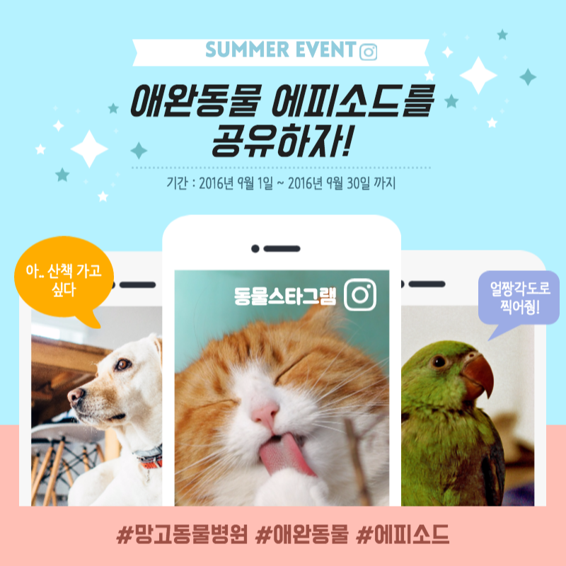 제목을 입력하세요 (9).png