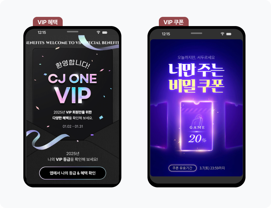 VIP 전용 세일 예시.png