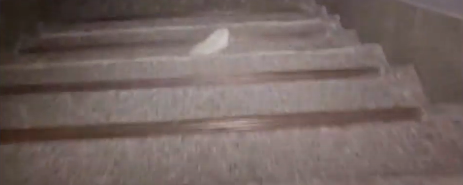 스크린샷 2025-02-01 114525.png