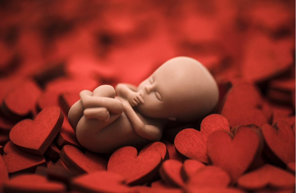 제목을-입력해주세요_-002 (6).png