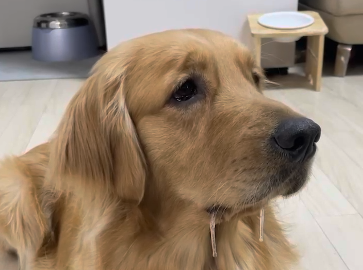 스크린샷 2023-06-19 오후 5.15.30.png