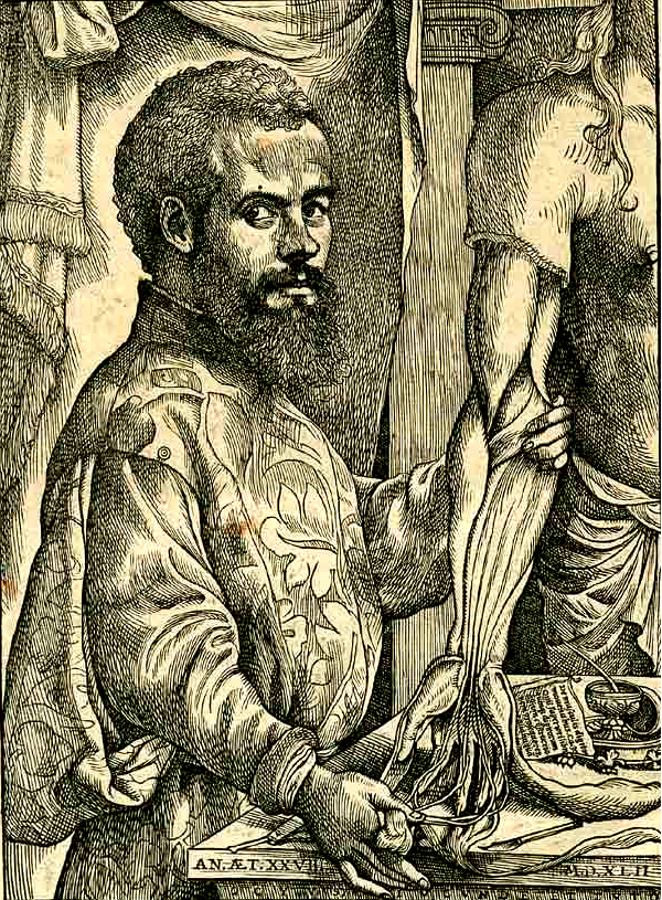 Vesalius_Portrait_pg_xii_-_c.png