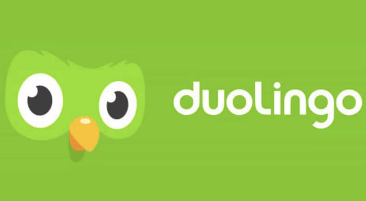 듀오링고고고.png
