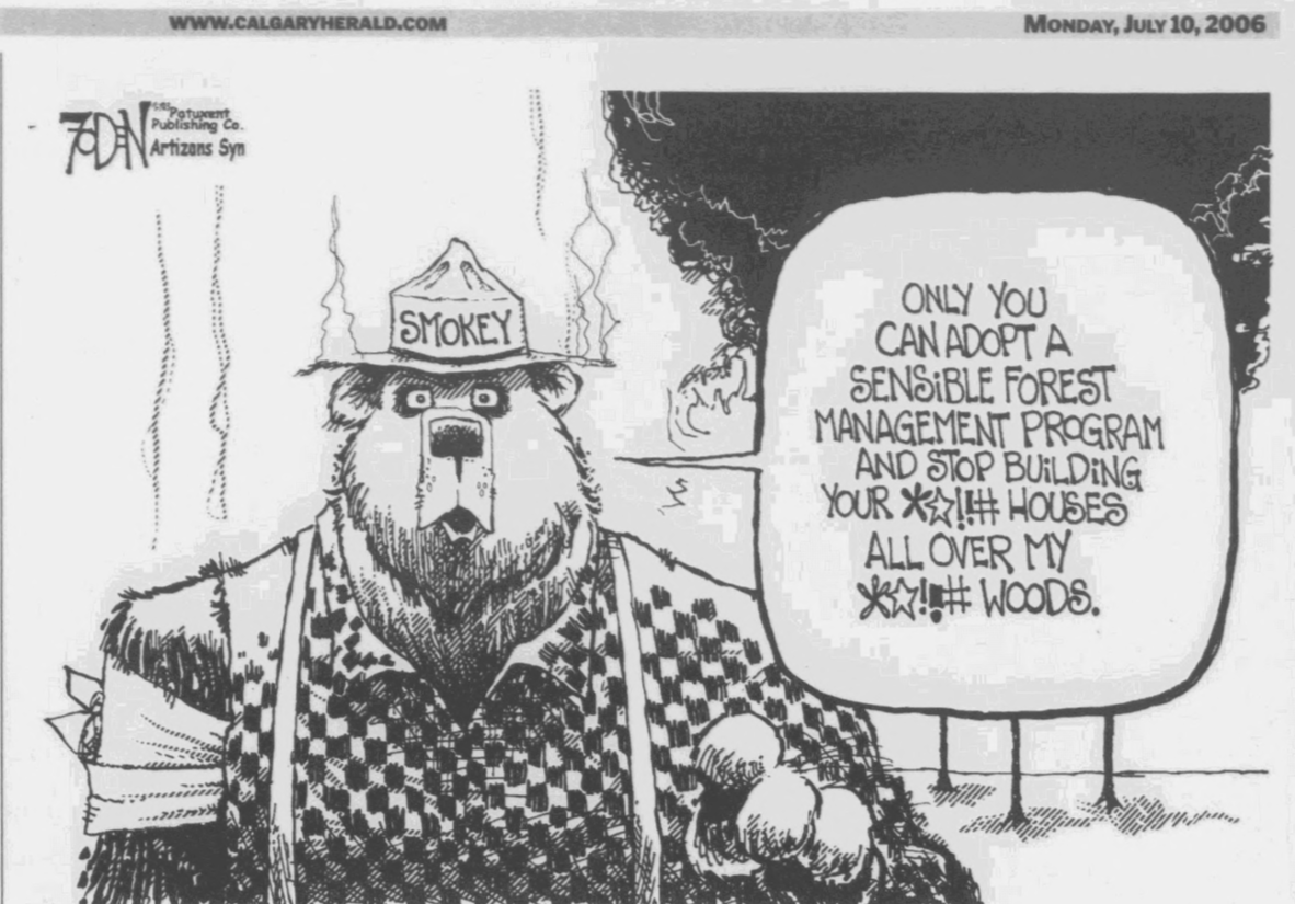 Smokey forest fire.png