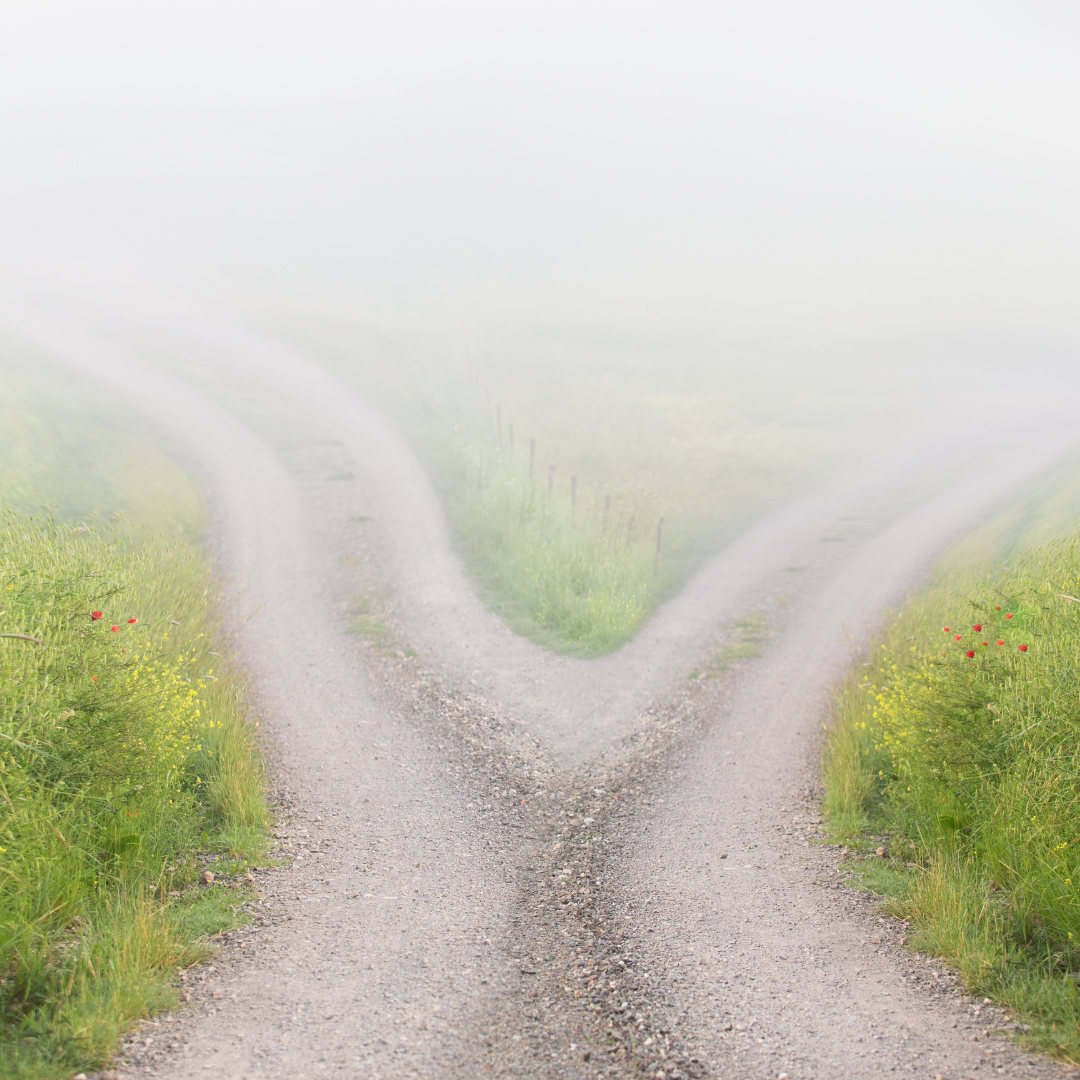 제목 없는 디자인 (18).png