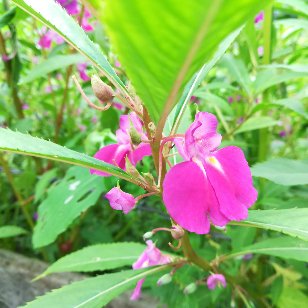 제목 없는 디자인 (47).png