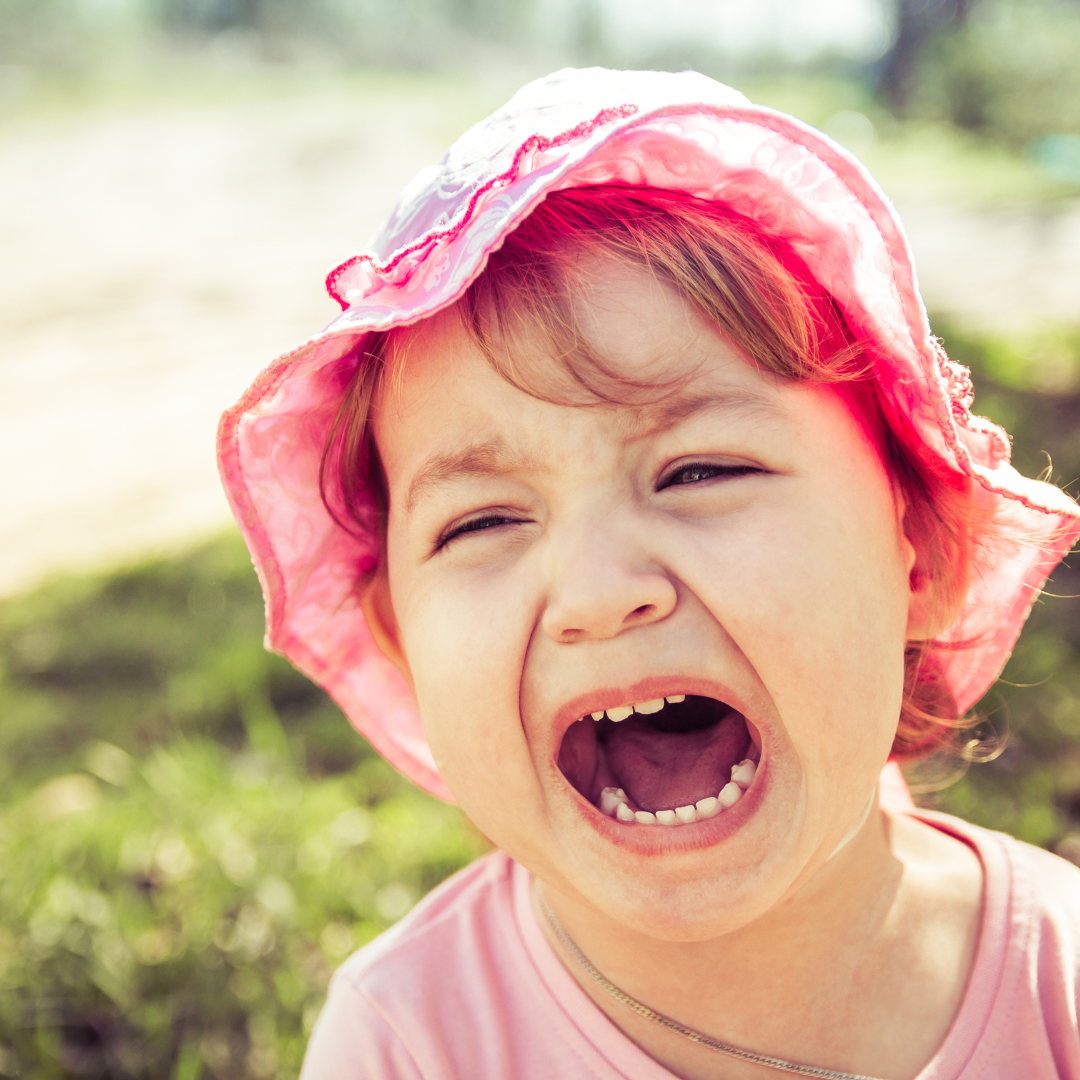 사진넣기 (2).png