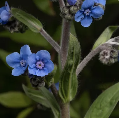 스크린샷 2023-10-21 075723.png