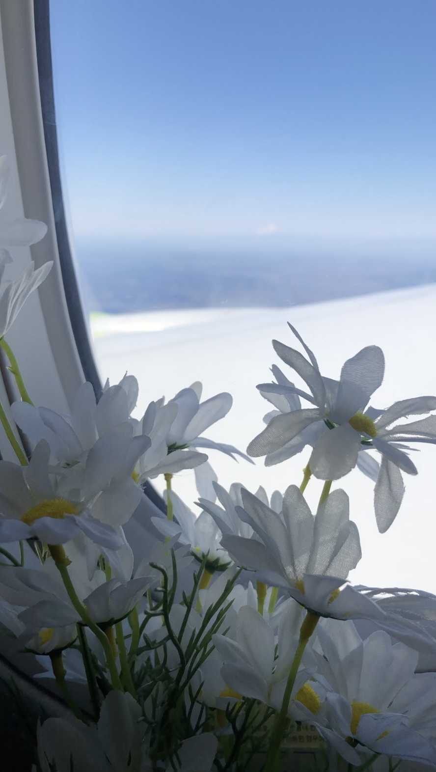 스크린샷 2024-06-27 오후 12.07.07.png