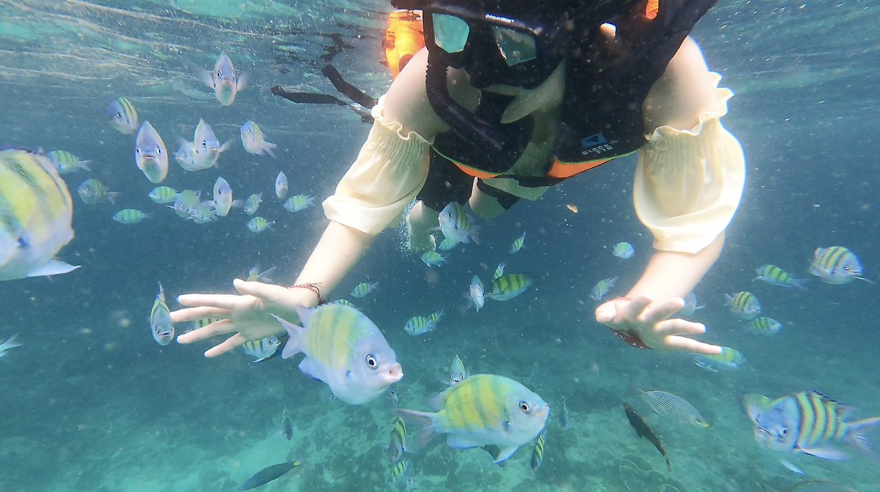 스크린샷 2024-09-01 오후 4.06.16.png