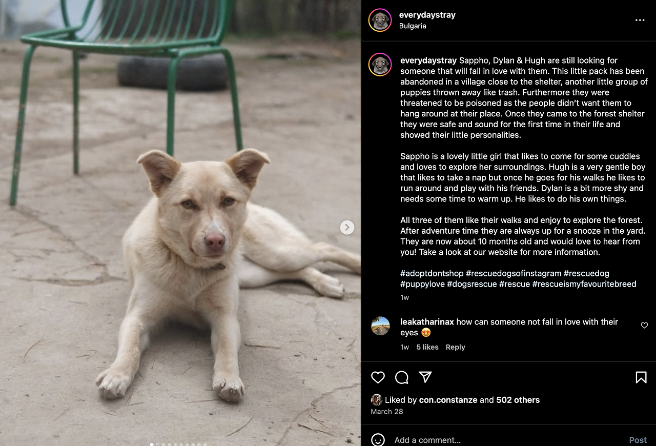 Screenshot 2025-04-11 at 6.14.47 AM.png