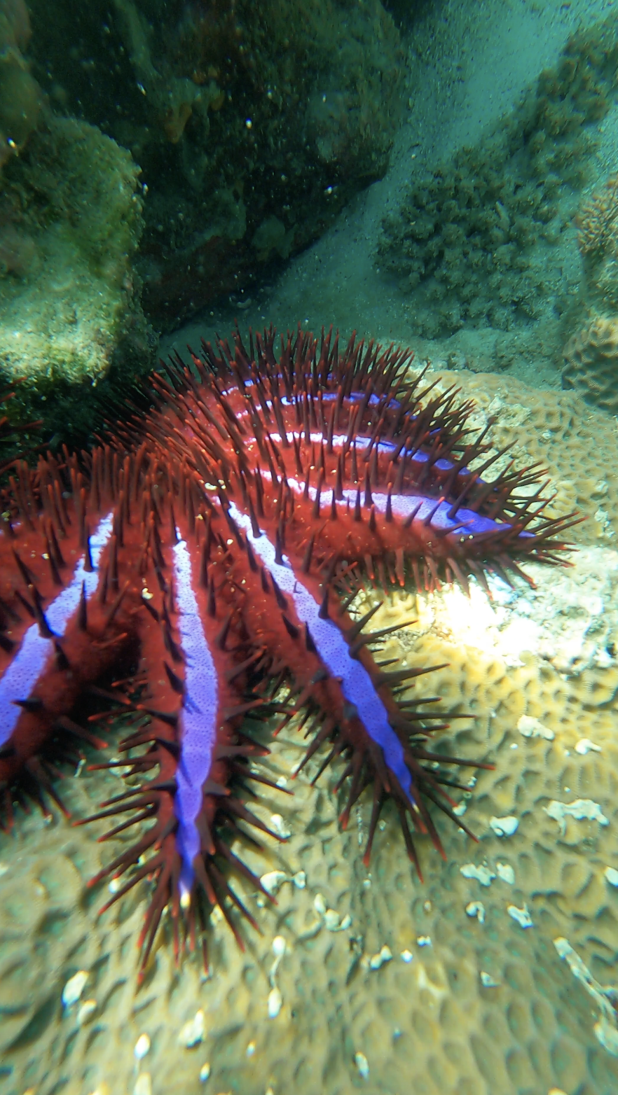 스크린샷 2024-09-01 오후 4.05.00.png