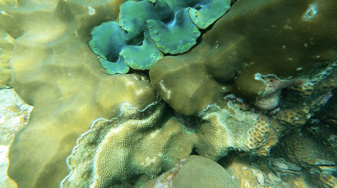 스크린샷 2024-09-01 오후 4.05.49.png