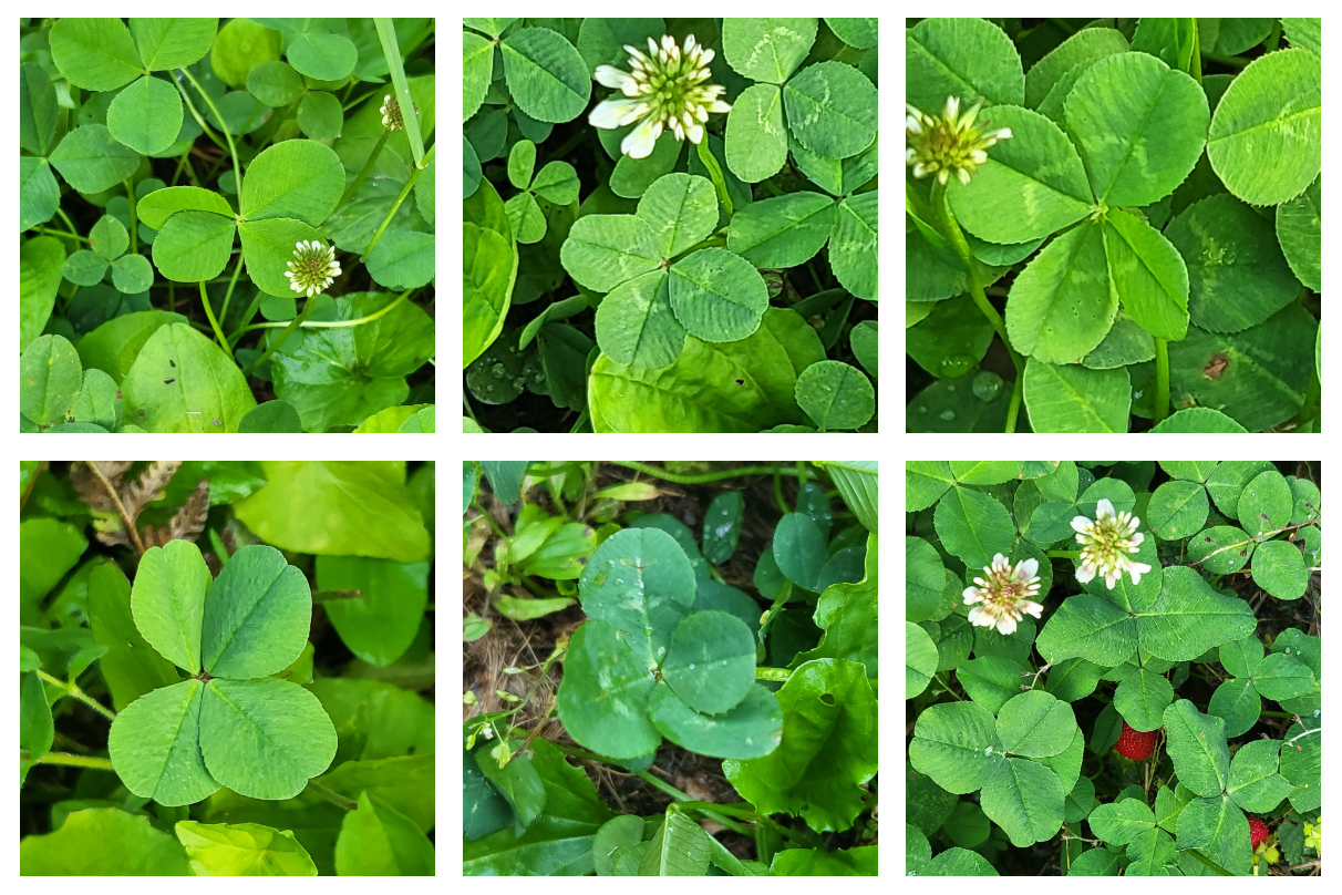 화면 캡처 2023-06-15 111540.png