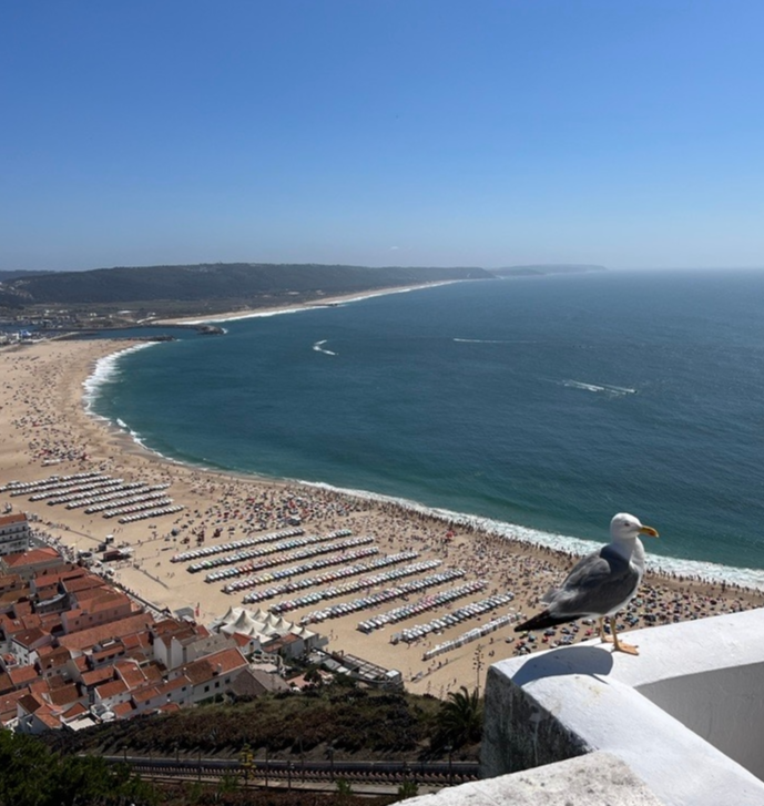 MicrosoftTeams-image 5.png