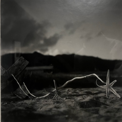 스크린샷 2025-01-15 101933.png