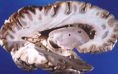 스크린샷 2025-01-15 094318.png