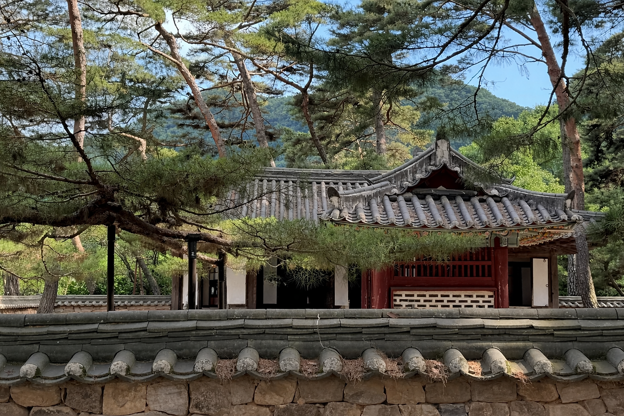 청령포 사진.png